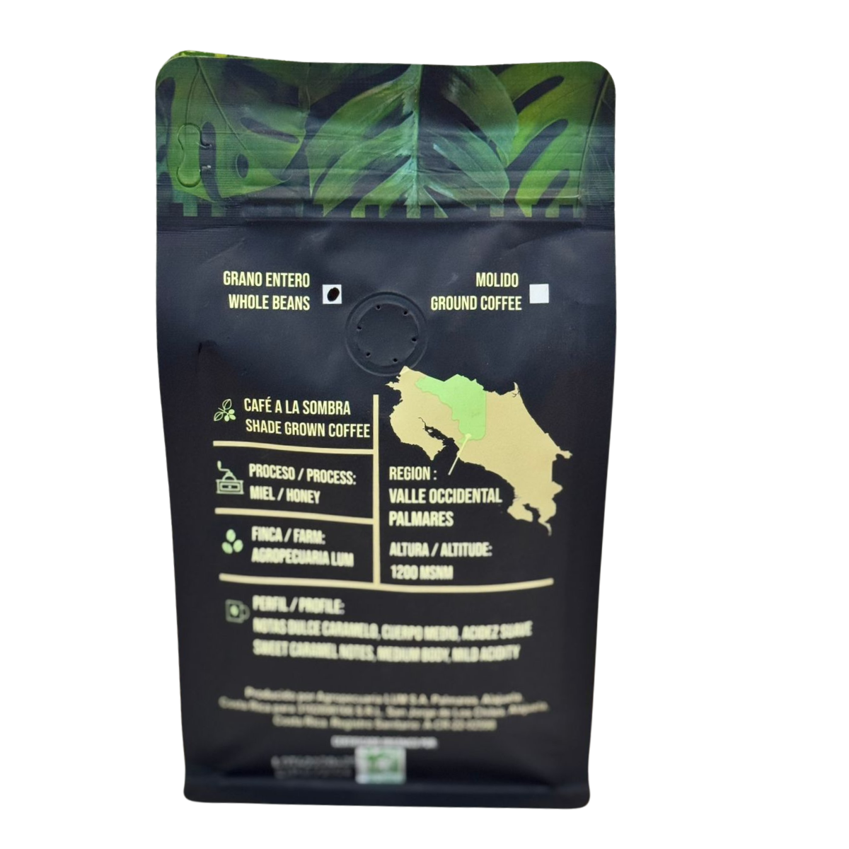 Café Orgánico Premium – Medium Roast - Image 2