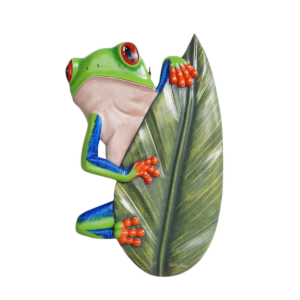 FROG ON LEAF - POCHOTE WOOD