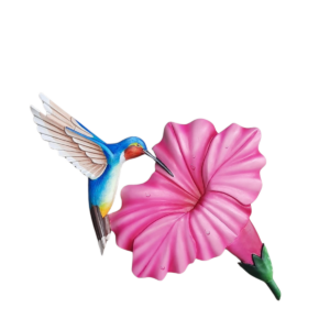 HUMMINGBIRD ON FLOWER - POCHOTE WOOD