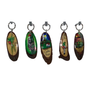 Hand-Painted Costa Rica Wooden Oval Keychain
