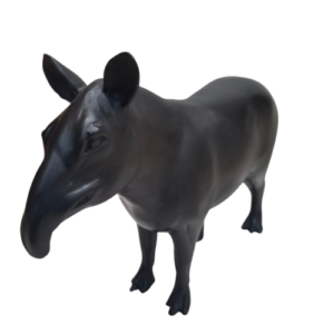 TAPIR