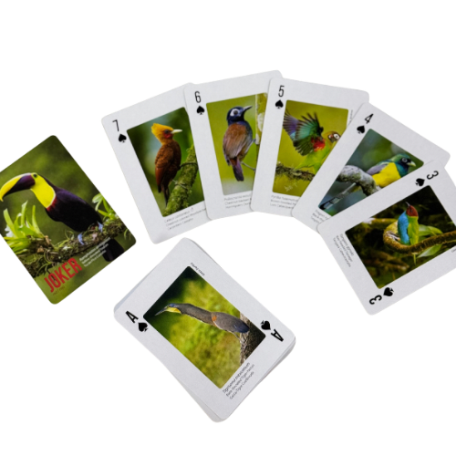 BIRDS OF COSTA RICA PLAYING CARDS - Image 2