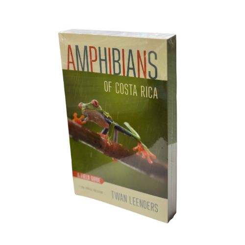 AMPHIBIANS OF COSTA RICA: A FIELD GUIDE - Image 2